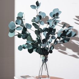 Decorative Flowers Preserved Round Eucalyptus Leaf Natural Dried Floral Plant Accessories Wreath Desktop Leaves Home Decoration