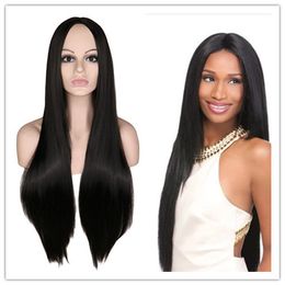 Natural Long Black Straight Hair Synthetic Wigs Cosplay Wig