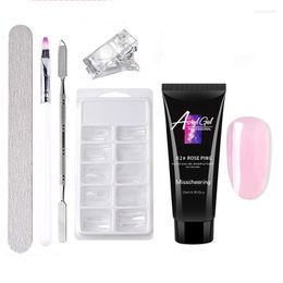 Nail Art Kits Painless Extension Gel 15ml Without Paper Holder Quick Crystal Model Set