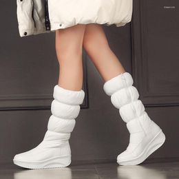 Boots Fashion Women Knee High Winter Warm Fur Wedges Snow Side Zipper Comfortable Woman Shoe Platform Waterproof Long Boot