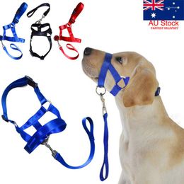Dog Collars US STOCK Pet Head Collar Gentle Halter Leash Leader No Pull Straps For Training Dogs