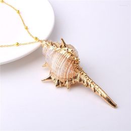 Fashion Boho Shell Conch Necklace Seashell Pendant For Women Summer Cowrie Chain Jewellery