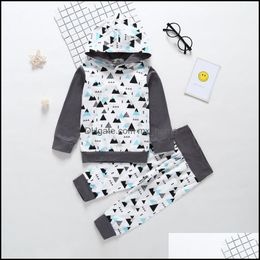 Clothing Sets Ins Spring Autumn Infant Baby Girls Boys Clothes Set Kids Long Sleeve Hooded Sweatshirt Top And 2Pcs Children Ou Mxhome Dhhv2