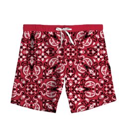 New Fashion 3D Print Paisley Bandana Woman Men Summer Beach Loose Shorts Casual Pants Polyester Plus Size S-7XL 007