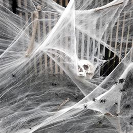 Other Festive Party Supplies White Stretchy Cobweb Artificial Spider Web Halloween Decoration Scary Scene Props Horror House Home Decora Accessories 220826