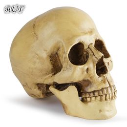 Decorative Objects Figurines BUF 1 1 Skull Model Teaching Sketch Human Skull Resin Crafts Home Decoration Statue Sculpture Halloween Gift 220827