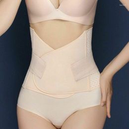 Belts Slimming Belt Womens Body Waist Shaper Girdle Adjustable Tummy Tuck Fat Slim