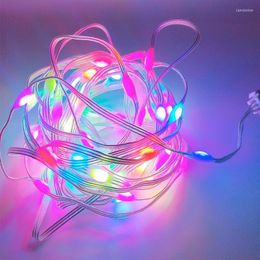 Strings 5m 5V WS2812 RGB Pixel LED String Light Dream Color Addressable Individually Fairy Lights For Wedding Party Christmas Decoration