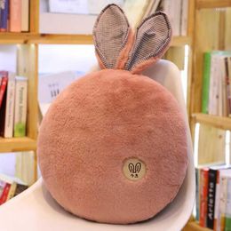 Pillow 40 40cm Variety Of Long Ears Cotton Plush Bedside Sofa Office Bedroom Dormitory Car