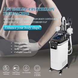 High quality Cryotherapy HI-EMT slimming machine 2 in 1 Cool sculpt EMSLIM CRYO EMS muscle sculpt Professional Muscle Stimulator cryolipolysis fat freeze
