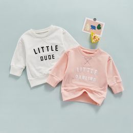 toddler pullover NZ - Hoodies Toddler Infant Baby Girl Brother Sister Long Sleeves Pullover Front Letter Print Sweatshirt Round Neck Loose Tops 0-5Y