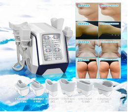 Factory Outlet 6 Cryo Handles Fat Freezing Slimming Cryotherapy Body Shaping High Energy And Efficient Fat Loss For Whole Body For Salon And Home Use