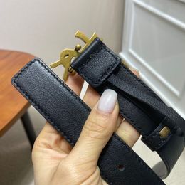 ladies belt for women designer belts lady 30 mm Top quality luxury brand Made of calfskin 050