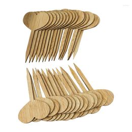 Buy Nursery Plant Labels Online Shopping at DHgate.com