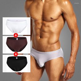 Underpants PINKYSENSON Mens Sexy Fashion Briefs Breathable Underwear U Convex Pouch Male Panties Calzoncillo Hombre PS502