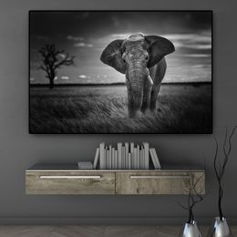 Wall Art Wild Animals African Elephant Canvas Painting Black and White Posters and Prints Wall Picture Living Room Cuadros Decor