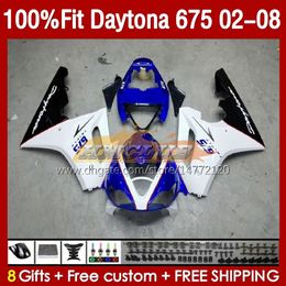 Injection mold Fairings For Daytona 675 675R 02 03 04 05 06 07 08 Bodys 148No.6 Daytona675 Daytona 675 R 2002 2003 2004 2005 2006 2007 2008 OEM Fairing Kit blue white