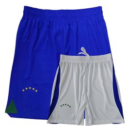 2022 2023 BRAZILS national team Soccer Shorts CASEMIRO FABINHO RODRYGO RICHARLISON MARQUINHOS VINI JR. P.COUTINHO T.SILVA G.JESUS brasil football Sports shorts pants