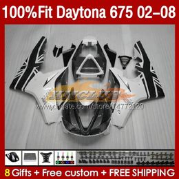 Injection Fairings For Daytona-675 02-08 Daytona 675 R 675R 02 03 04 05 06 07 08 Bodywork 148No.48 Daytona675 2002 2003 2004 2005 2006 2007 2008 OEM Body Kit grey white