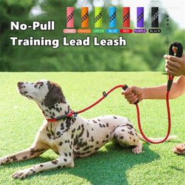 Dog Collars Pet Reflective Slip Lead Leash Padded Handle Durable Rope Training Walking Anti-Choking 6ft Climbing For Dogs