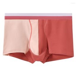 Underpants Good-Looking Mens Shorts Double Colours Panties Cotton Antibacterial Crotch Male Japanese Style Summer Underwears