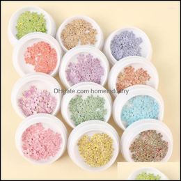 Nail Art Decorations Nail Art Decorations 50Pcs/ Box Stickers Flowers Autumn Decoration Resin Parts Nature Dried Diy For Everything W Dhzlm