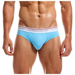 Underpants Fashion Sexy Men's Underwear Briefs Knickers Pant Shorts Solid Boxer Mens