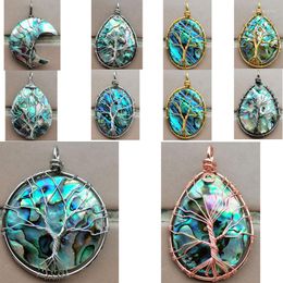 Pendant Necklaces Beautiful Jewellery Zealand Abalone Shell Round Oval Water Drop Moon Bead WB1010