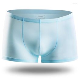 Underpants Men's Seamless Panties Brand Underwear Boxers Transparent Man Boxer Sexy Mens Pack Breathable Solid Male Long