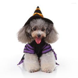 Dog Apparel Costume Witch Dress With Hat Funny Outfits For Small Medium Dogs Cats
