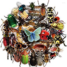 Gift Wrap 50pcs Realistic Transparent Insect Stickers For Notebooks Scrapbook Car Kscraft Sticker Craft Supplies Scrapbooking Material