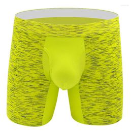 Underpants Men's Boxers Underwear Men Shorts Long Boxer Male Slip Panties Sexy Leg Man Multicolor Boxershorts Homme