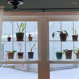 Hooks Acrylic Window Plant Shelves Clear Hanging Floating Wall Shelf Flower Pot Rack