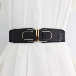 Belts Womens Vintage Wide ElasticWaist Belt Dress Waist Sweater Coat Elastic Seal Pearl Round Mens