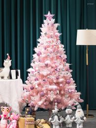 Christmas Decorations 1.2m 1.5m 1.8m Tree Luxury Home Encrypted Pink Artificial Year Gift Navidad