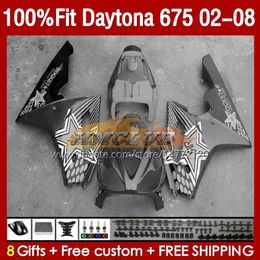 OEM silvery grey Fairings For Daytona675 2002 2003 2004 2005 2006 2007 2008 Bodywork 148No.98 Daytona 675 R CC 675R 02 03 04 05 06 07 08 675CC 02-08 Injection Fairing Kit