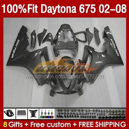 OEM Fairings For Daytona675 2002 2003 2004 2005 2006 2007 2008 Bodywork 148No.91 Daytona 675 R CC 675R 02 03 04 05 06 07 08 675CC 02-08 Injection Fairing Kit silvery grey blk