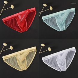 Underpants Men Sexy Lingerie Low Rise Briefs U-bulge Transparent Mesh Erotic Penis Pouch Gay Thin Underwear