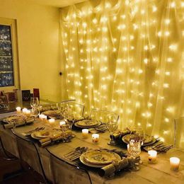 Strings 3M 300LEDs Battery Powered LED Curtain Fairy String Light Remote Controlled Wedding Party Home Garden Wall Bedroom Outdoor