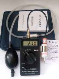 Gas Analyzers Oxygen Concentration Metre Oxygen Content Testers Metres Detector Tester CY-12C Digital O2 Analyzer 0-5%0-50% 0-100%