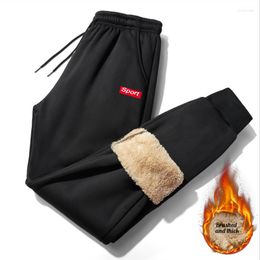Men's Pants Casual Pant For Men Korean Version Sweat 320 Grammes Of Lamb Wool Warm Thick Bound Leg Sports Joggers 2022 Winter