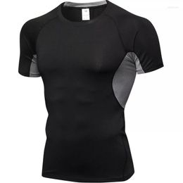 Men's T Shirts Quality Quick Dry Man's T-shirt Crossfit Gym Male Rashguard Sportswear Compression Fitness Top Running Jersey Sport Shirt Men