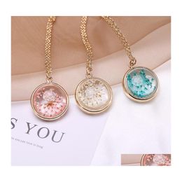 Pendant Necklaces Fashion Jewellery Round Crystal Glass Dry Flower Slide Pendant Necklace Drop Delivery Necklaces Pendants Dhy9F