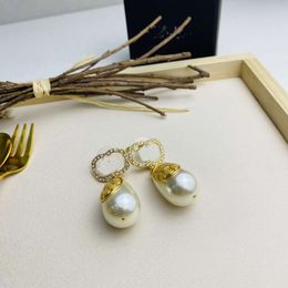 Fashion dangle earrings for women party wedding lovers gift fashion designer Jewellery with flannel bag