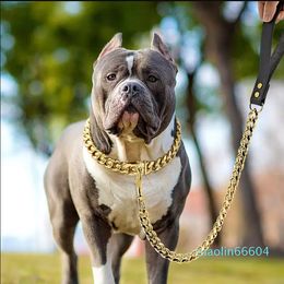 Dog Collars & Leashes Stainless Steel Chain Collar And Leash Super Strong Metal Choke Silver Gold Pet Lead Rope For Party Show