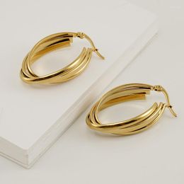 Hoop Earrings Fashion Stainlesss Steel Geometric Twisted For Women Gold Colour Metal Huggies Party Jewellery Gift