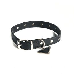 Dog Supplies Designer Pet Collars and Leashes Traction Rope Brand Rivet Collar