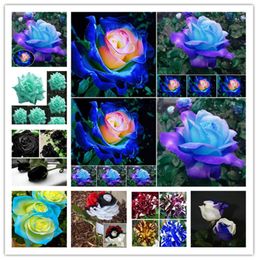 100 piezas raras negras blancas desérticas semillas de rosa adenio obesum flor plantas exóticas exóticas semillas de flores floración de balcón jardín Yard20674443