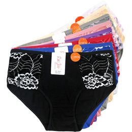 Women's Panties 5pcs Plus Size Underwear Big yards 2XL3XL Women's panties Large size lady mum pants pure color cotton women's Intimates 67603 221202