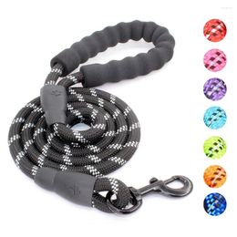 Dog Collars 1.5M Nylon Strong Leash With Comfortable Padded Handle Collar Leashes Reflective Lead Rope For Labrador Rottweiler